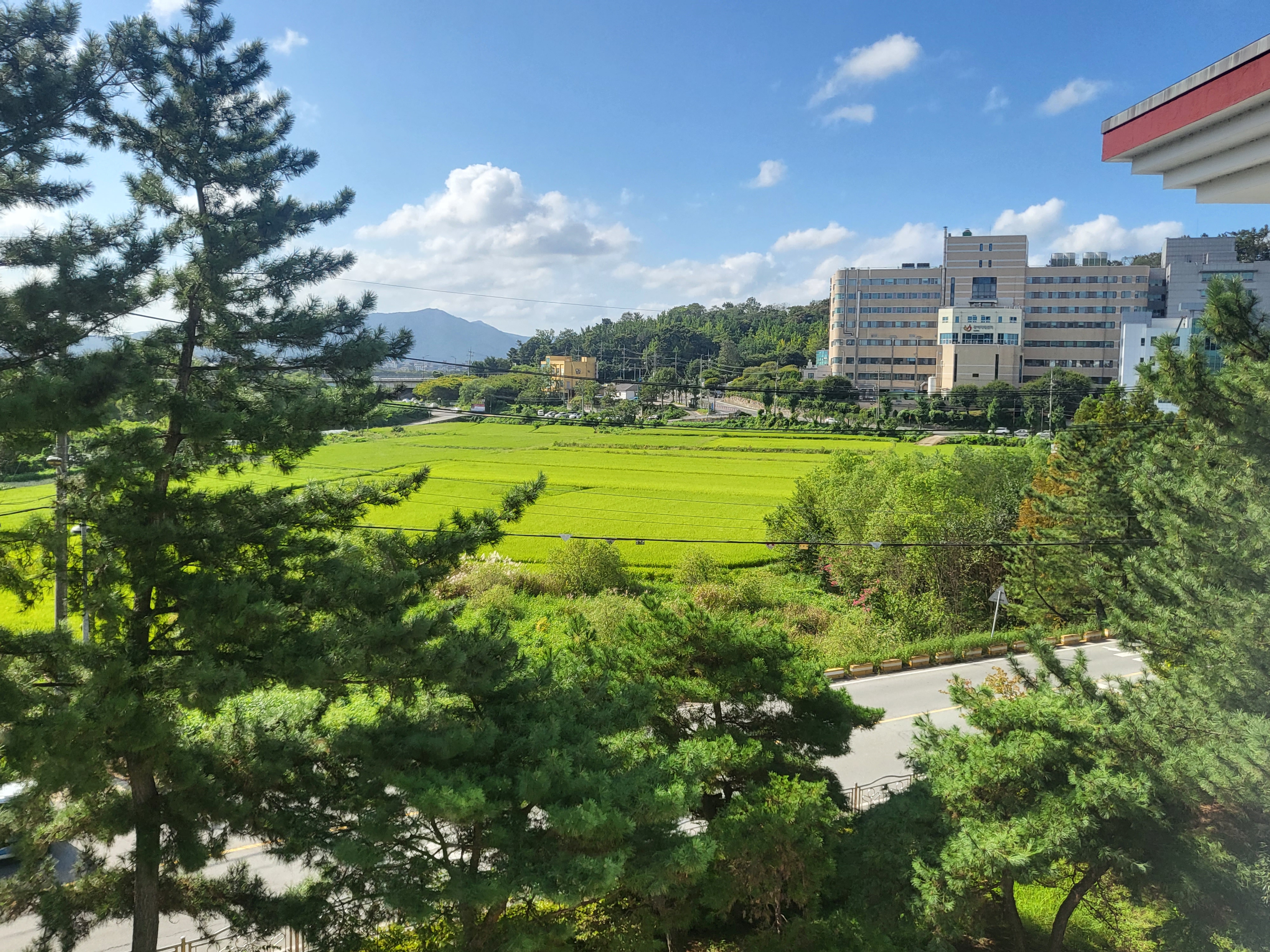 게시글 사진