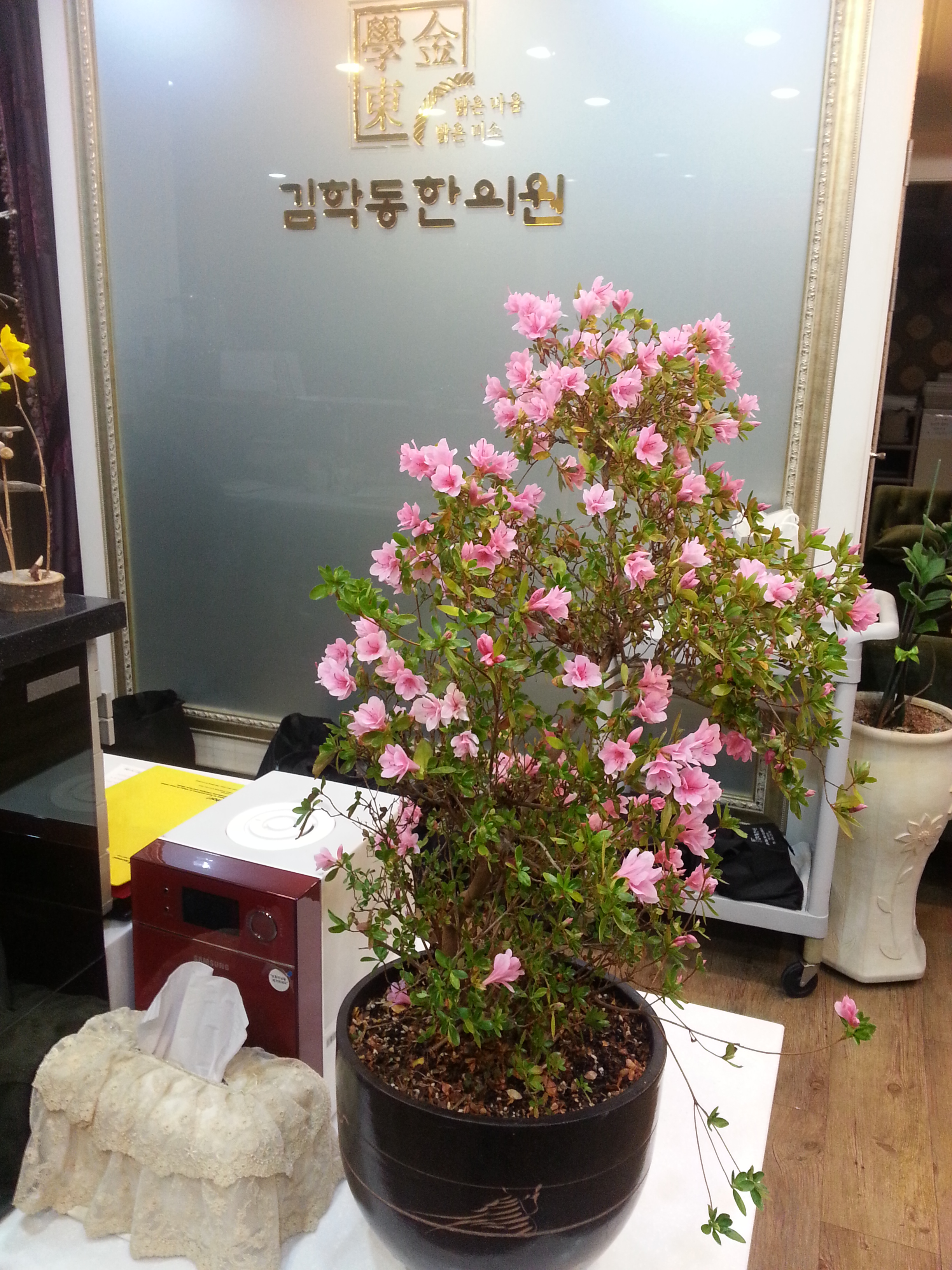 게시글 사진