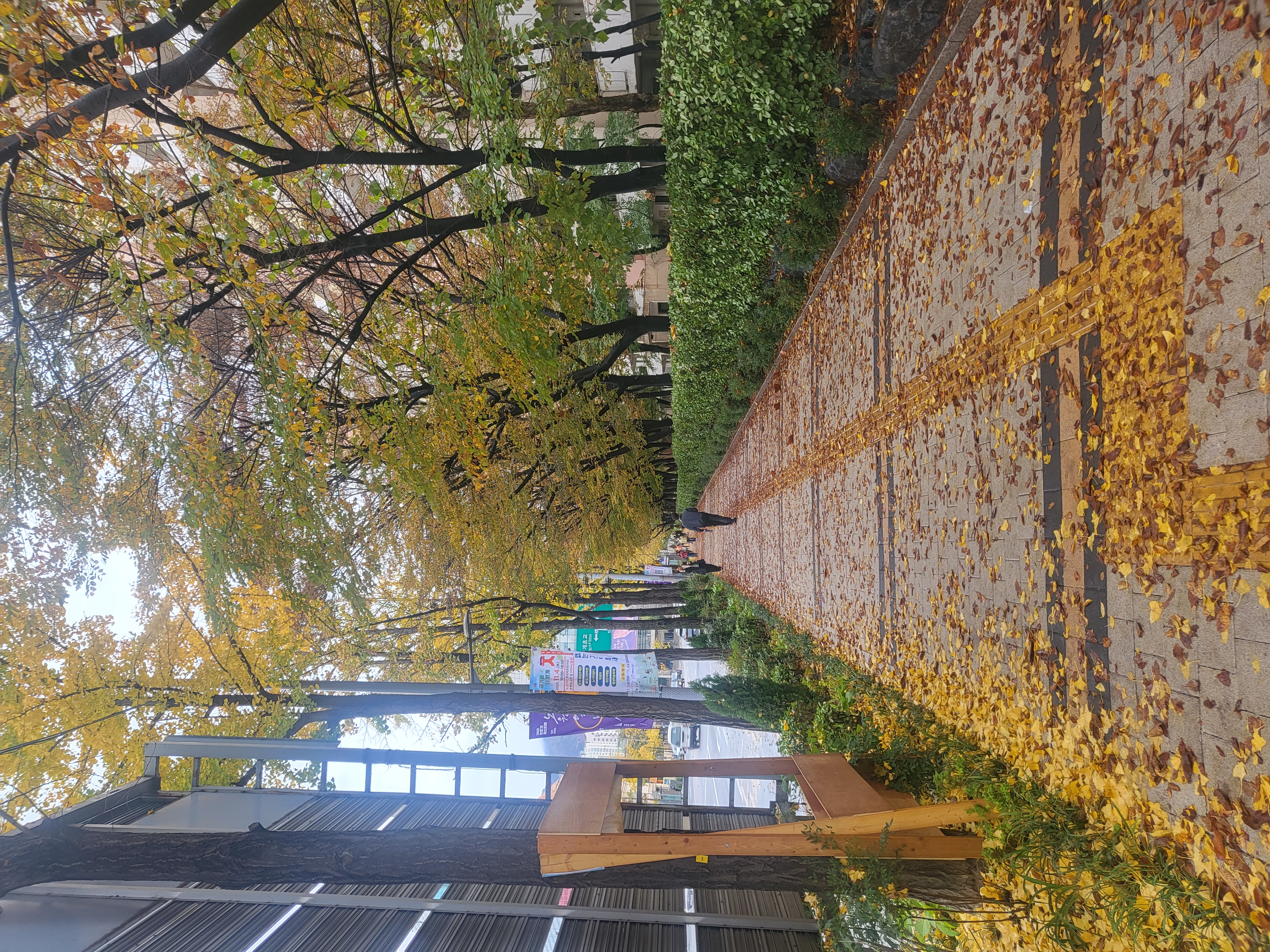 게시글 사진