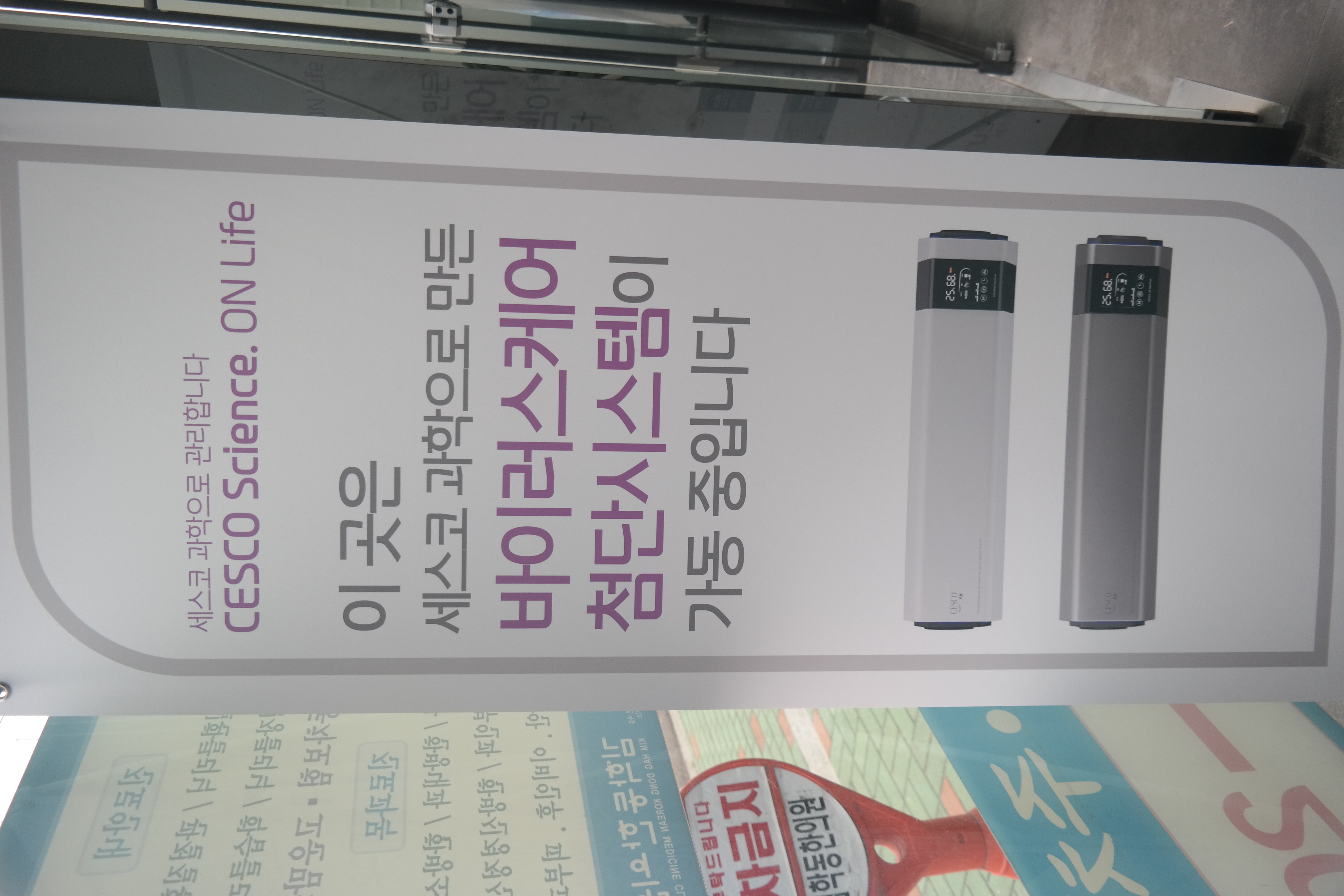 게시글 사진
