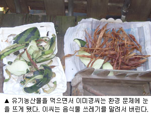 게시글 사진