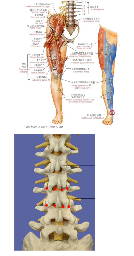 게시글 사진