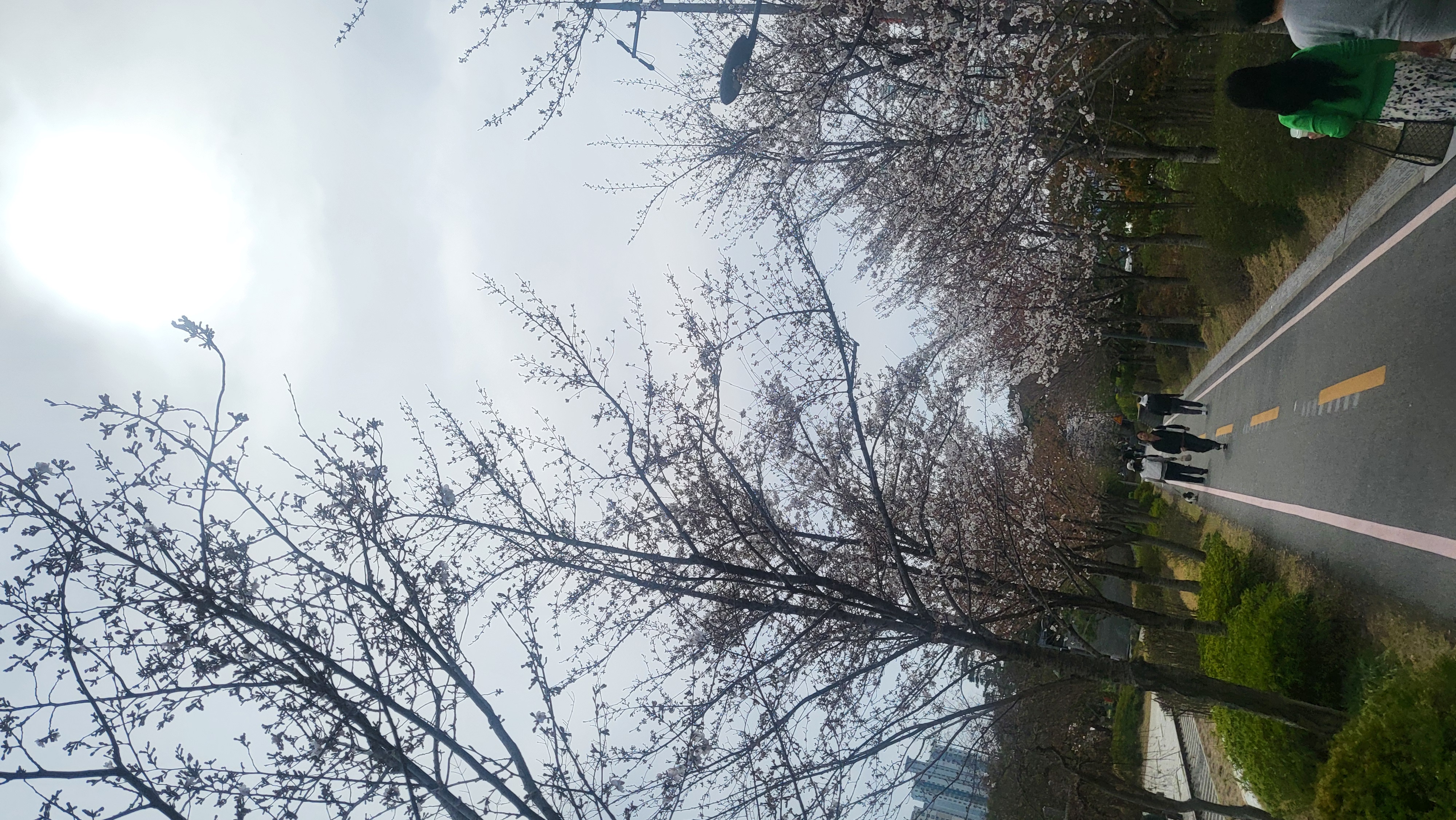 게시글 사진