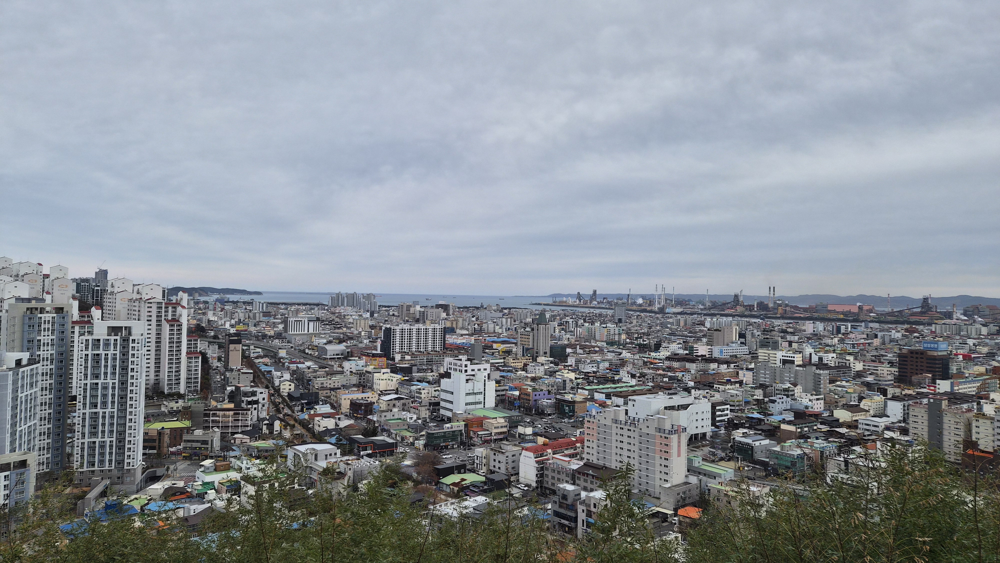 게시글 사진