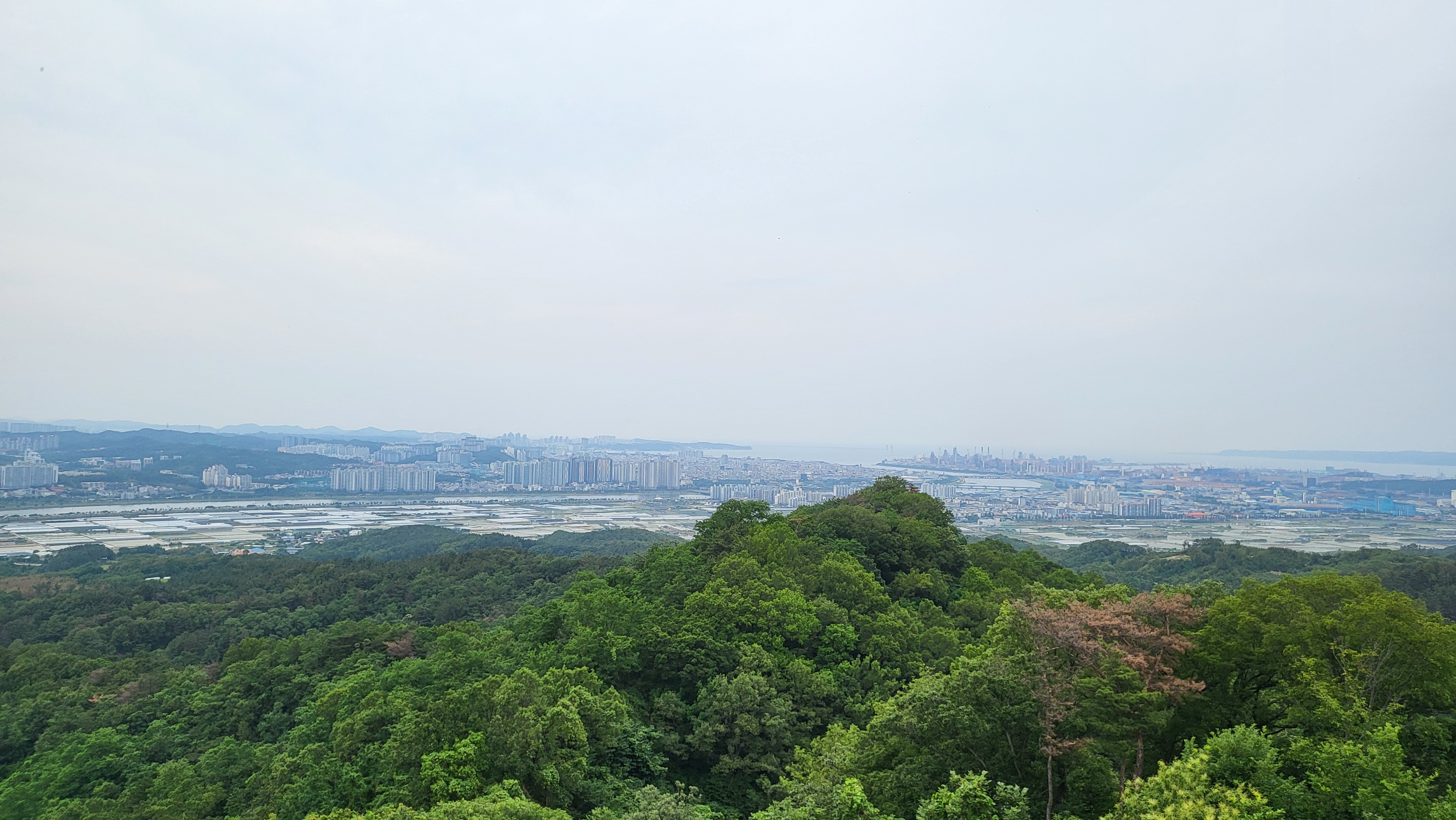 게시글 사진