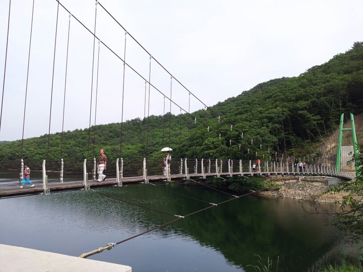 게시글 사진