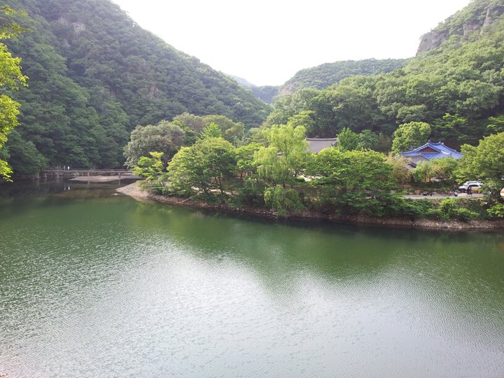 게시글 사진