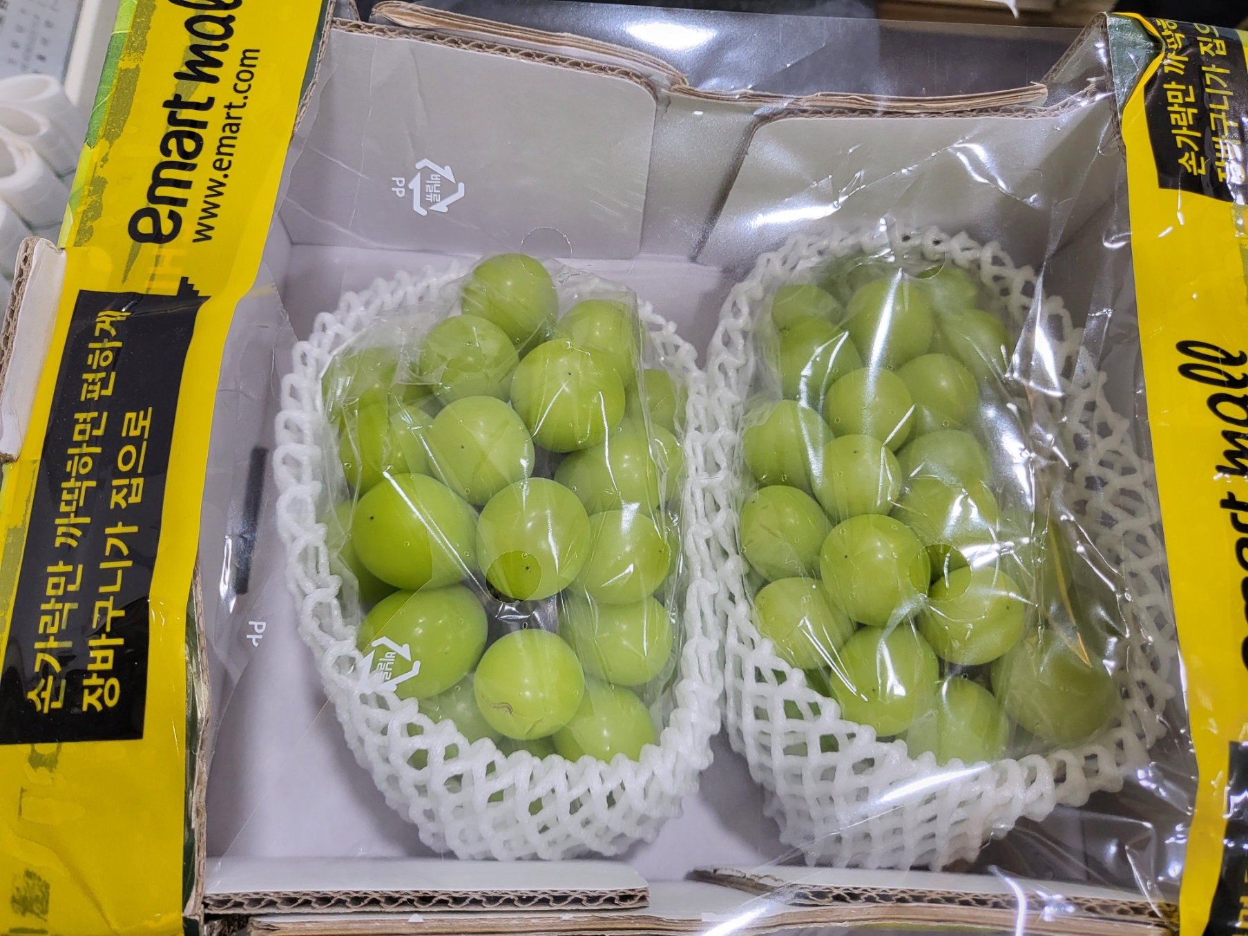 게시글 사진