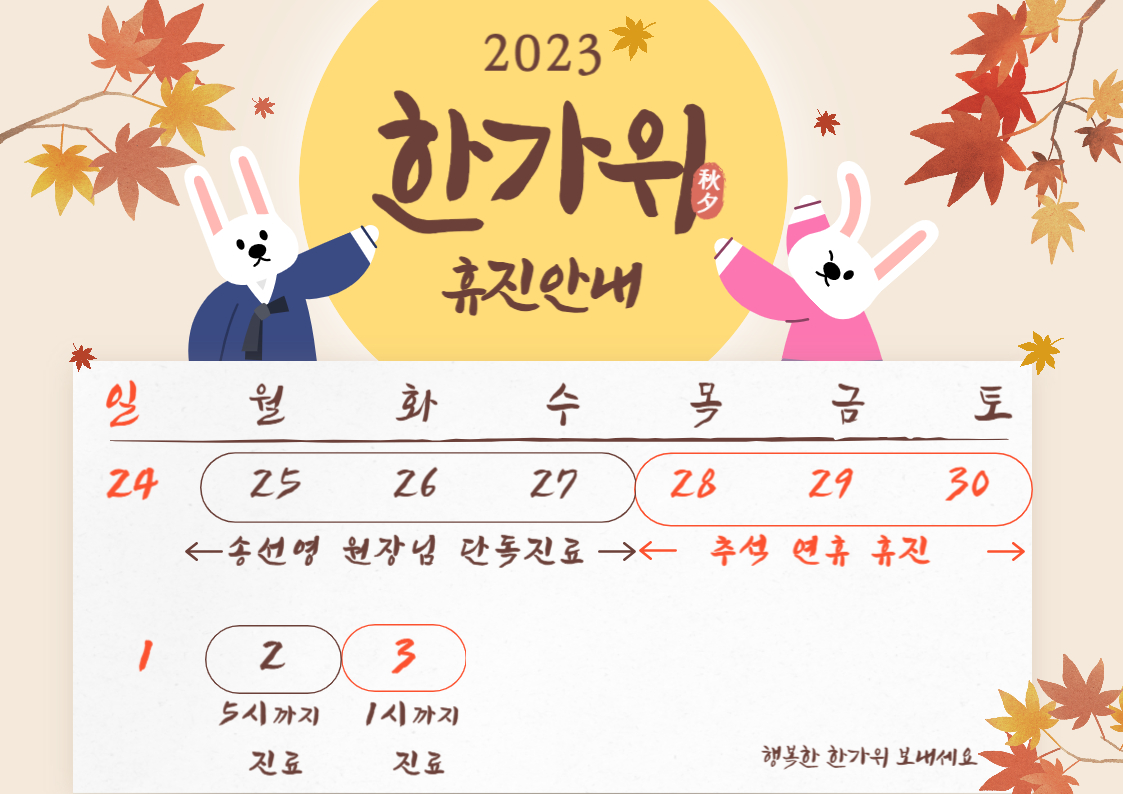 게시글 사진