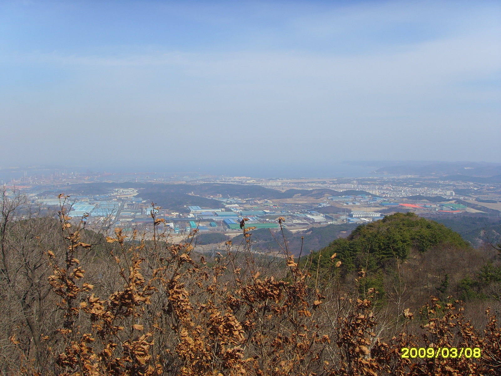 게시글 사진