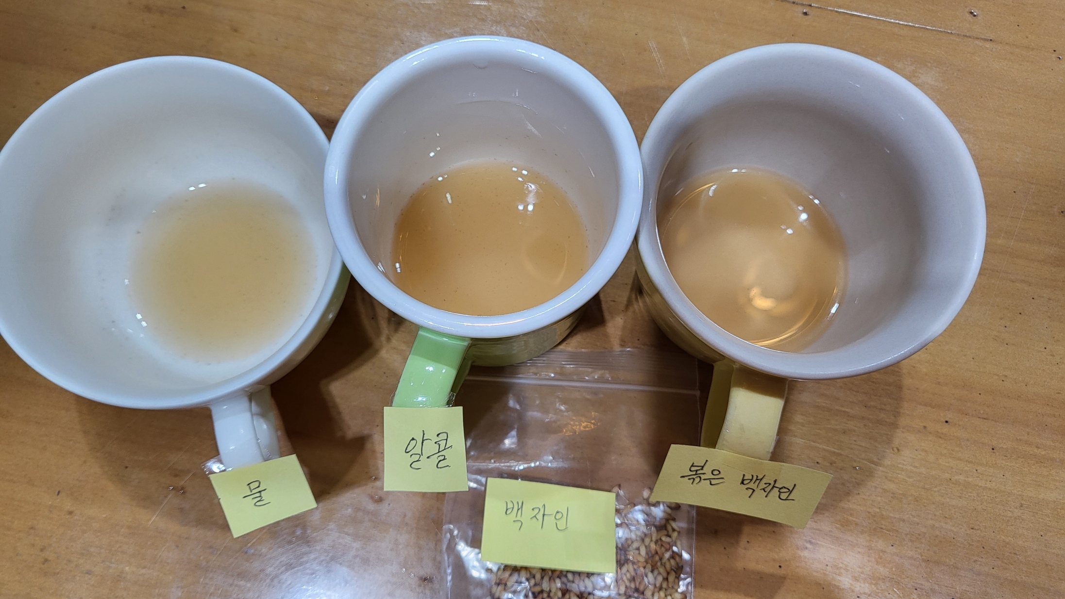 게시글 사진