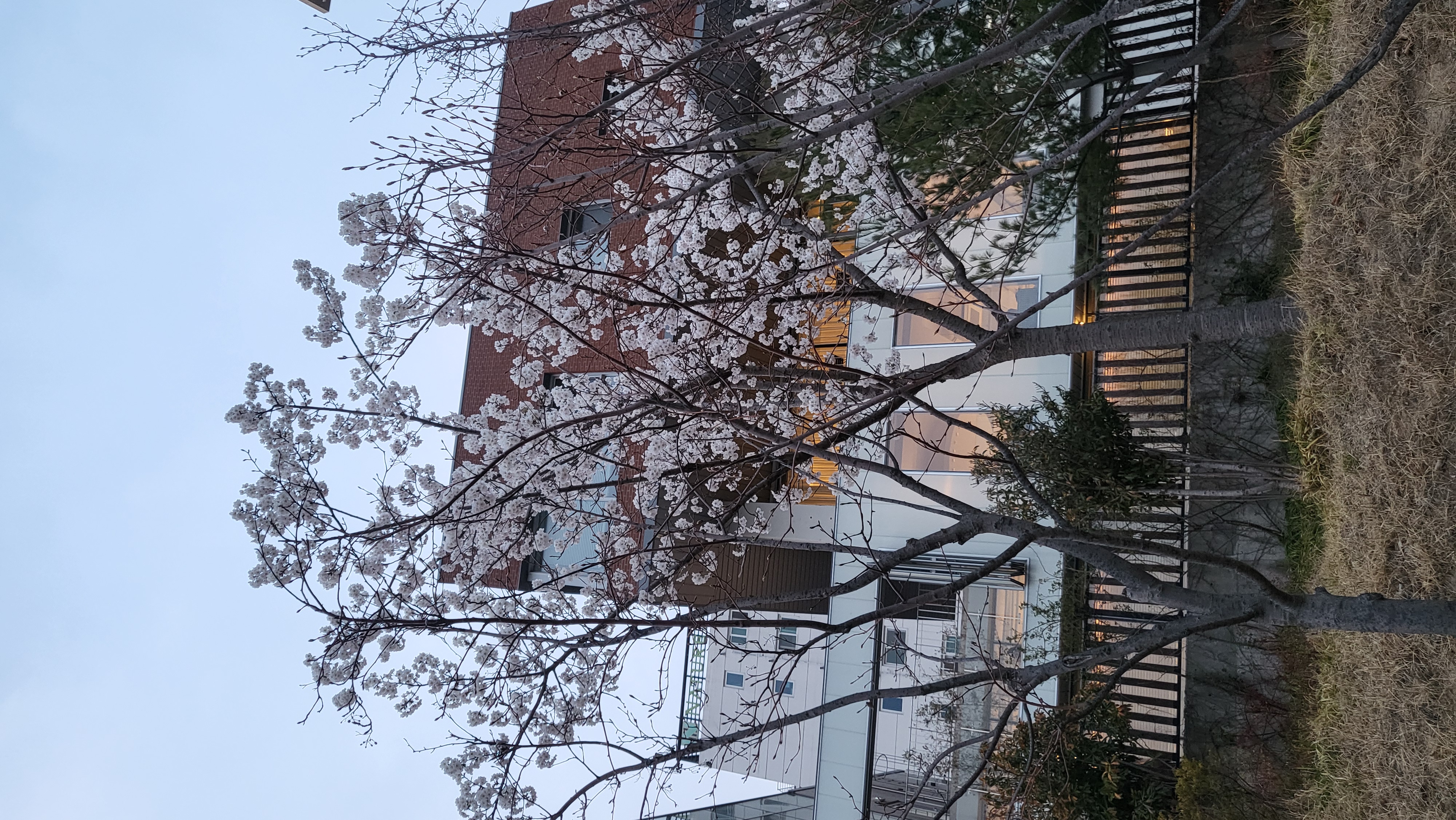 게시글 사진
