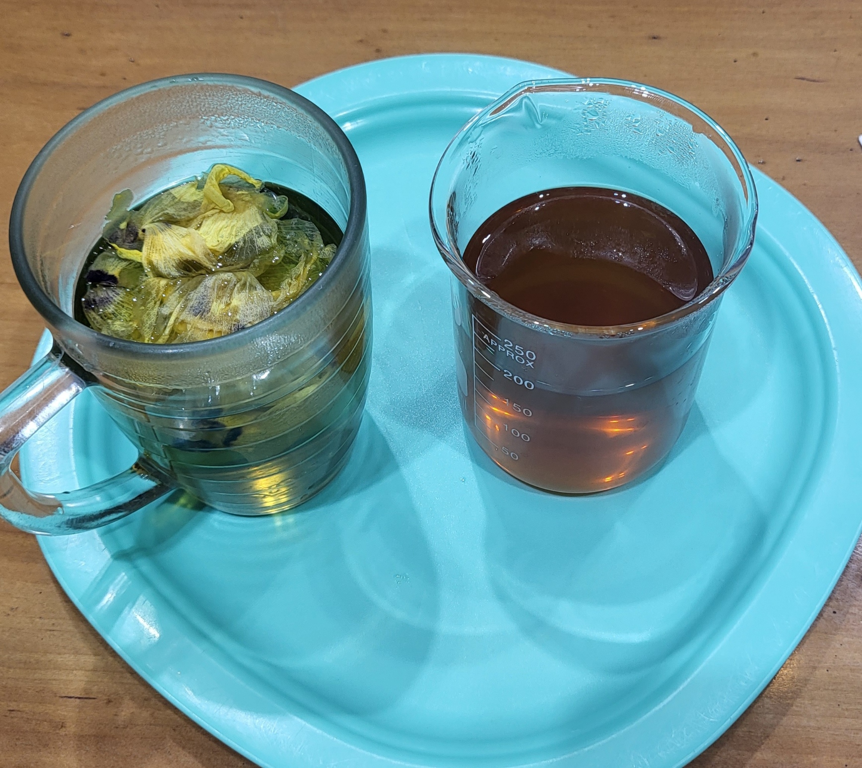 게시글 사진