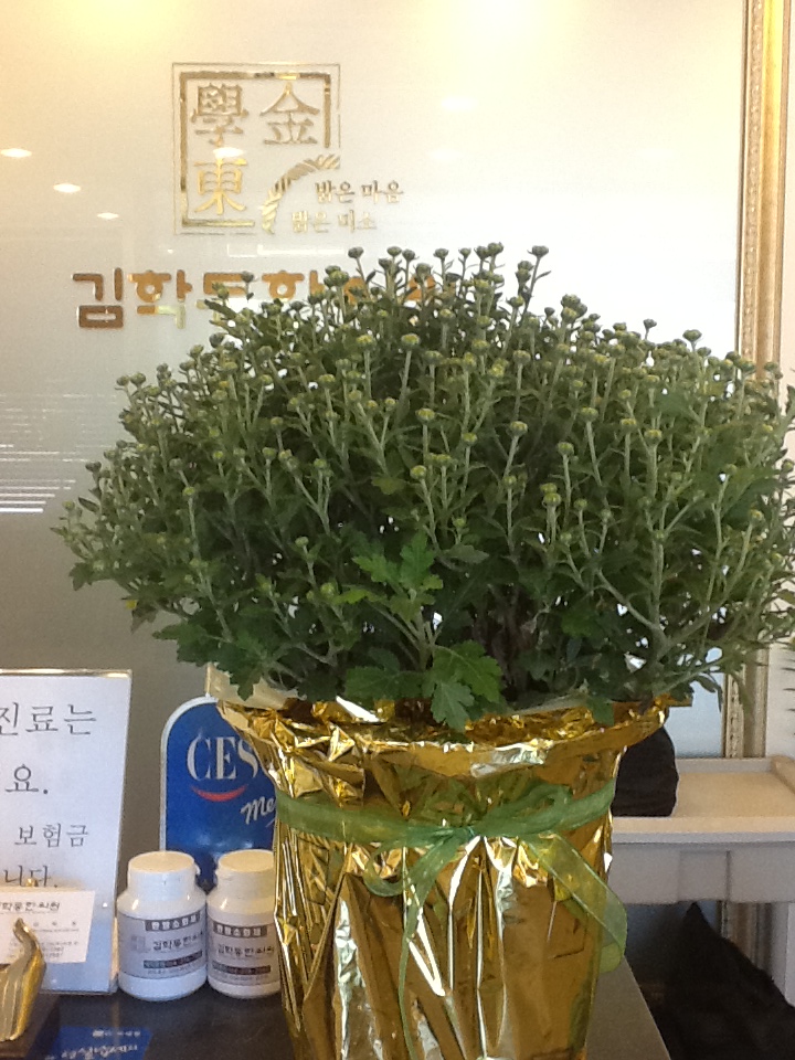 게시글 사진