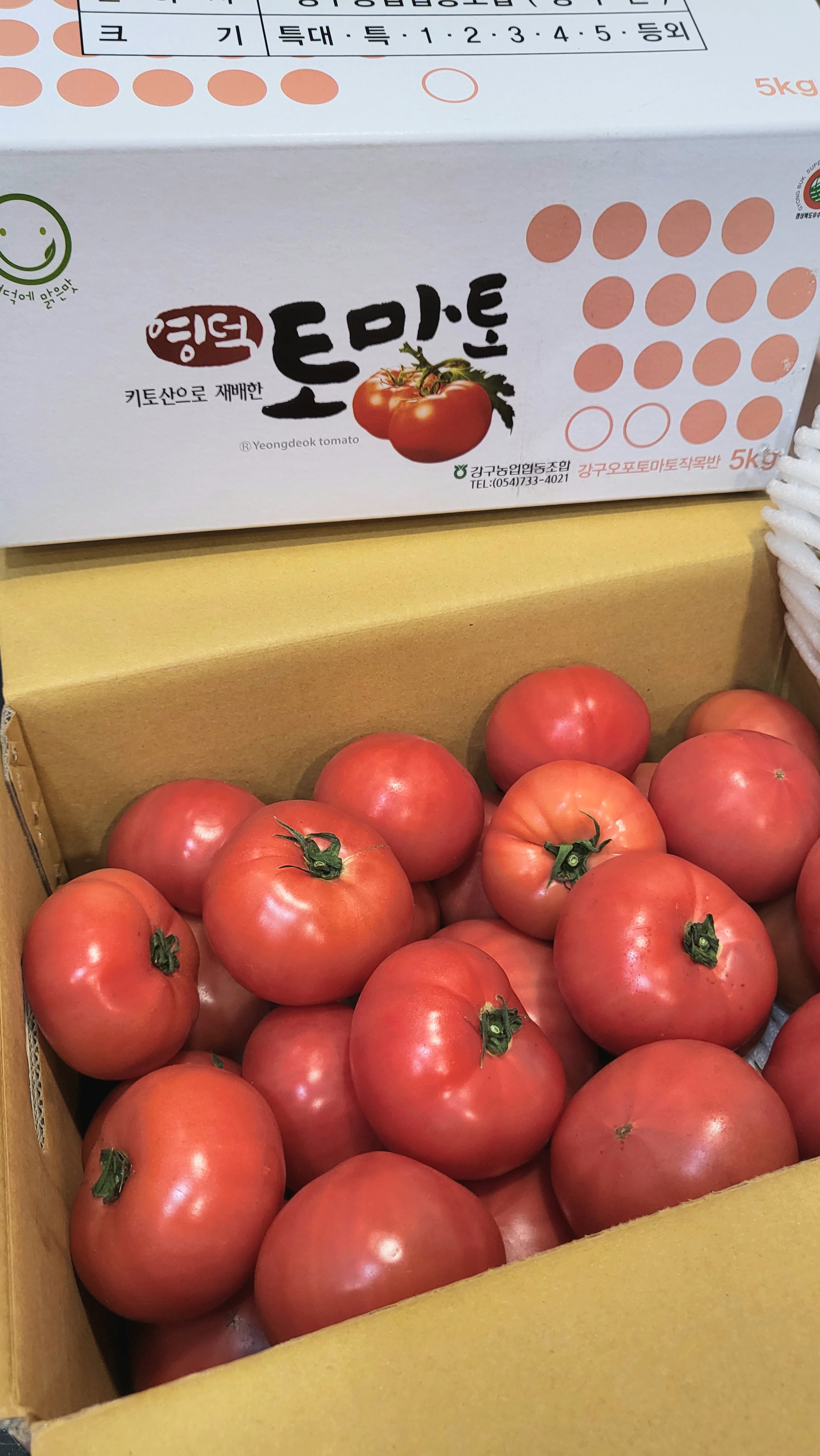 게시글 사진