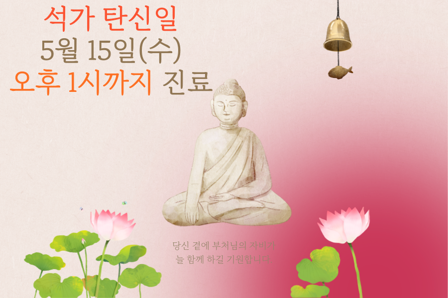게시글 사진