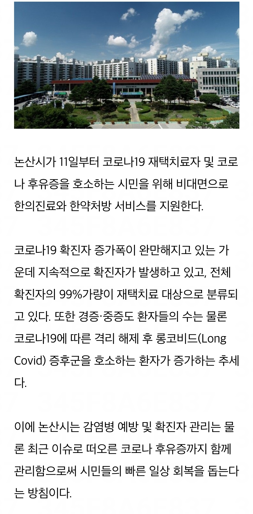 게시글 사진