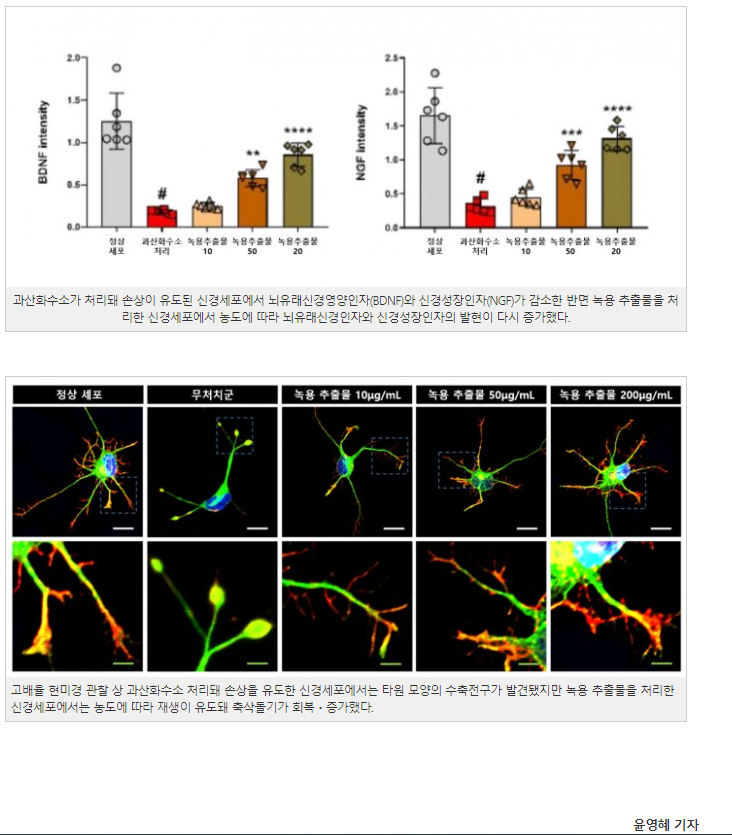 게시글 사진