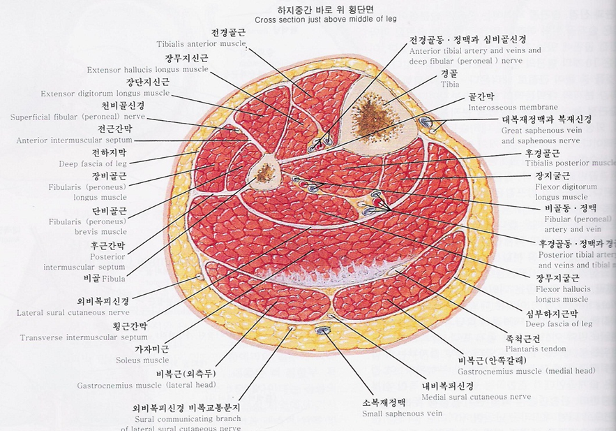 게시글 사진