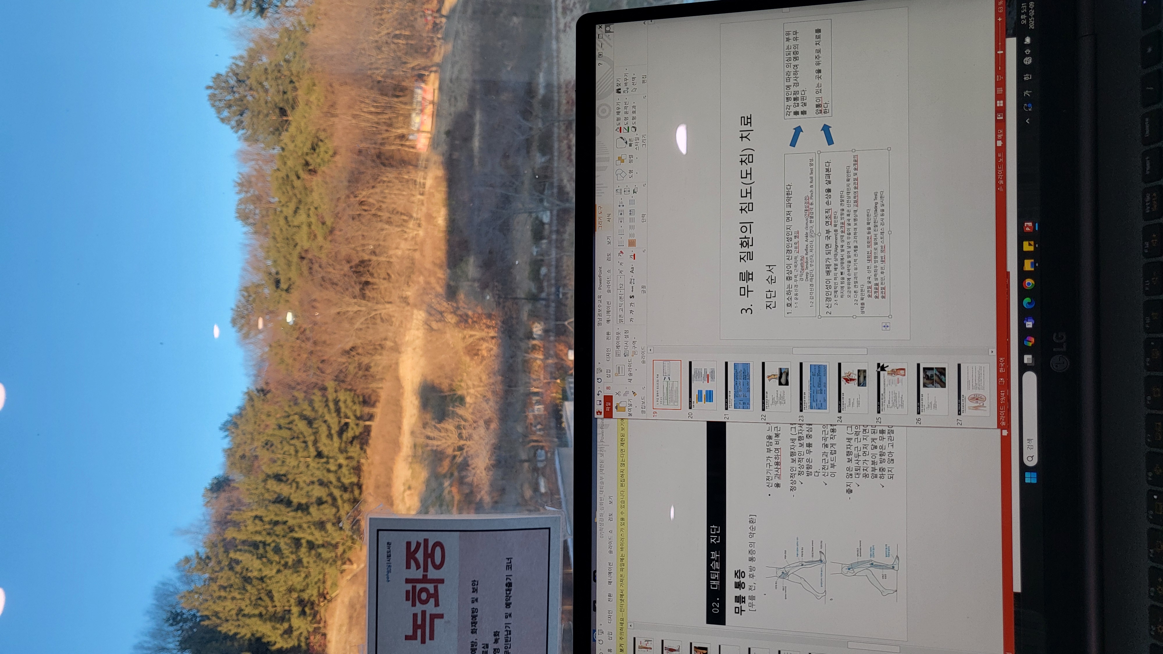 게시글 사진