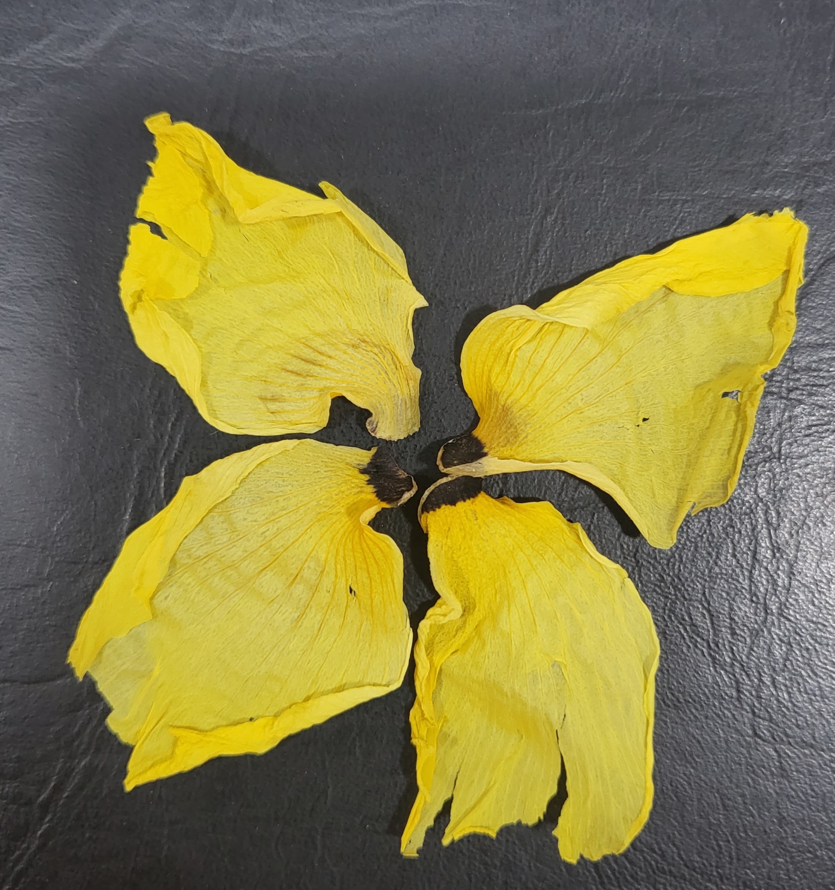 게시글 사진