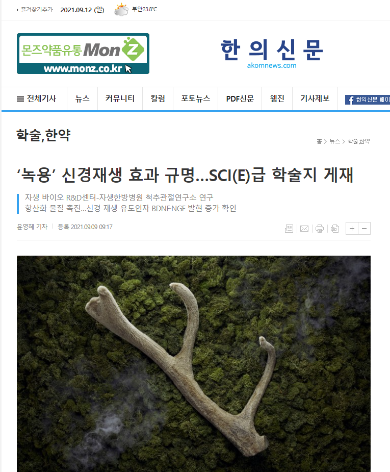 게시글 사진