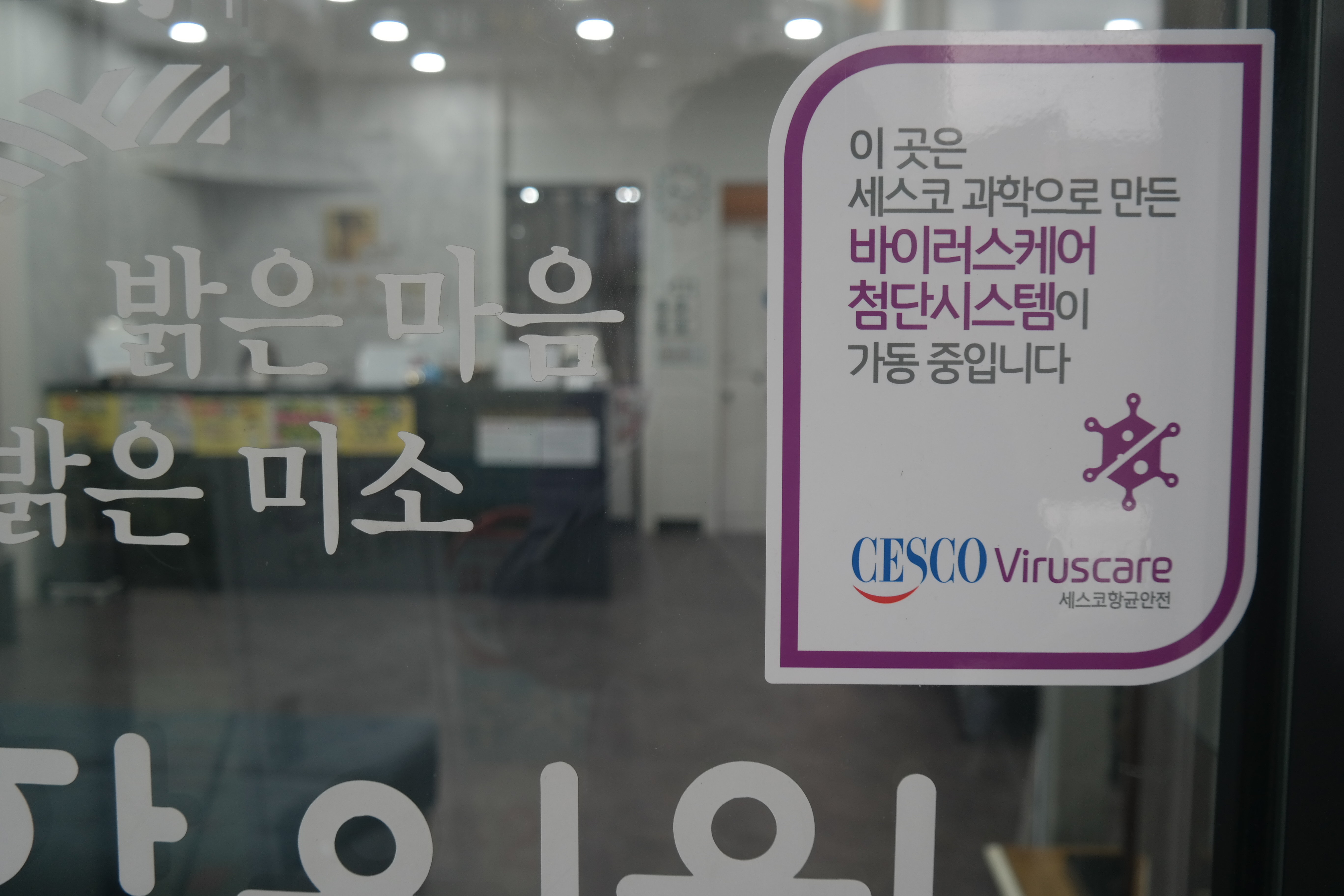 게시글 사진