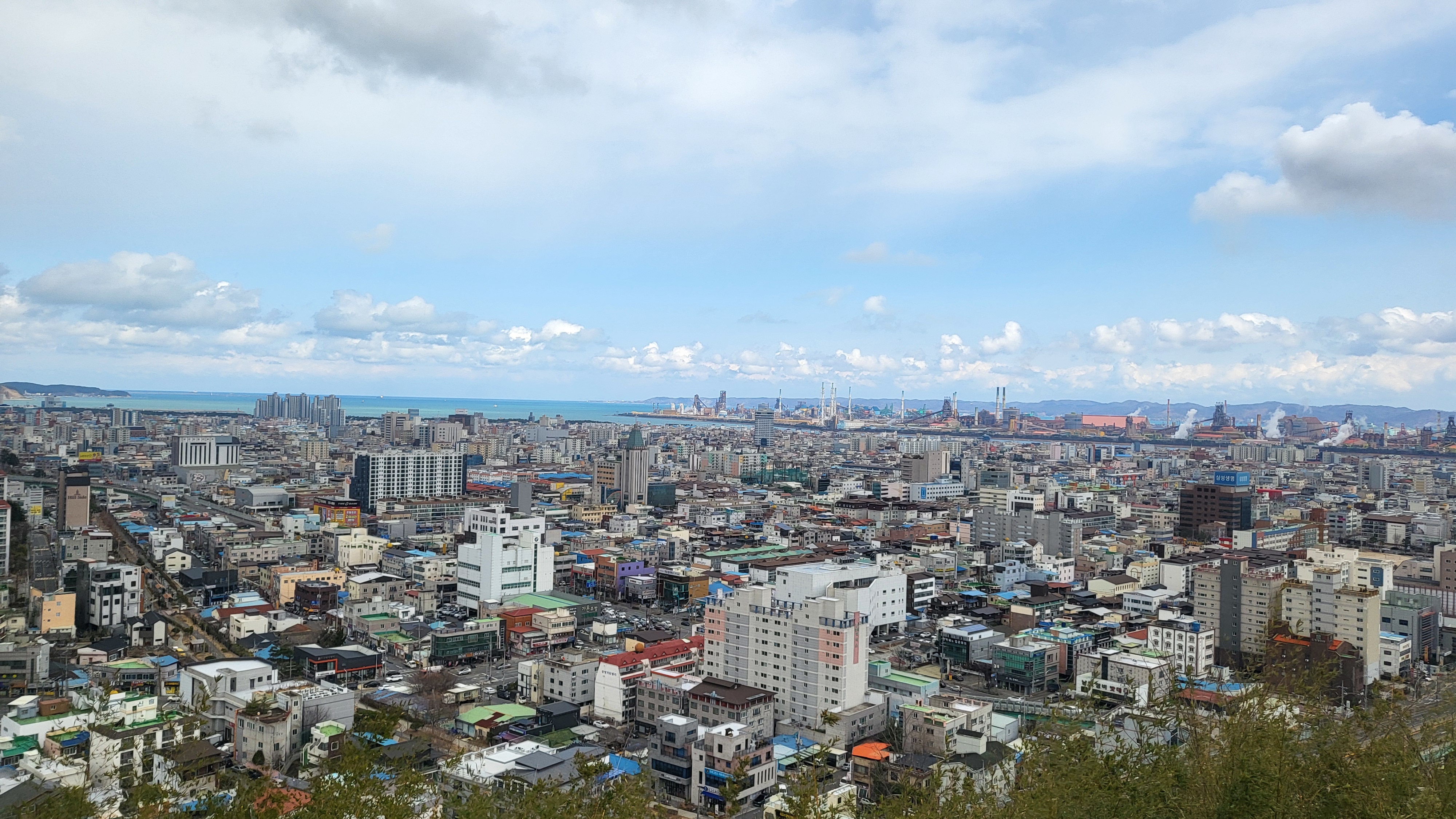 게시글 사진