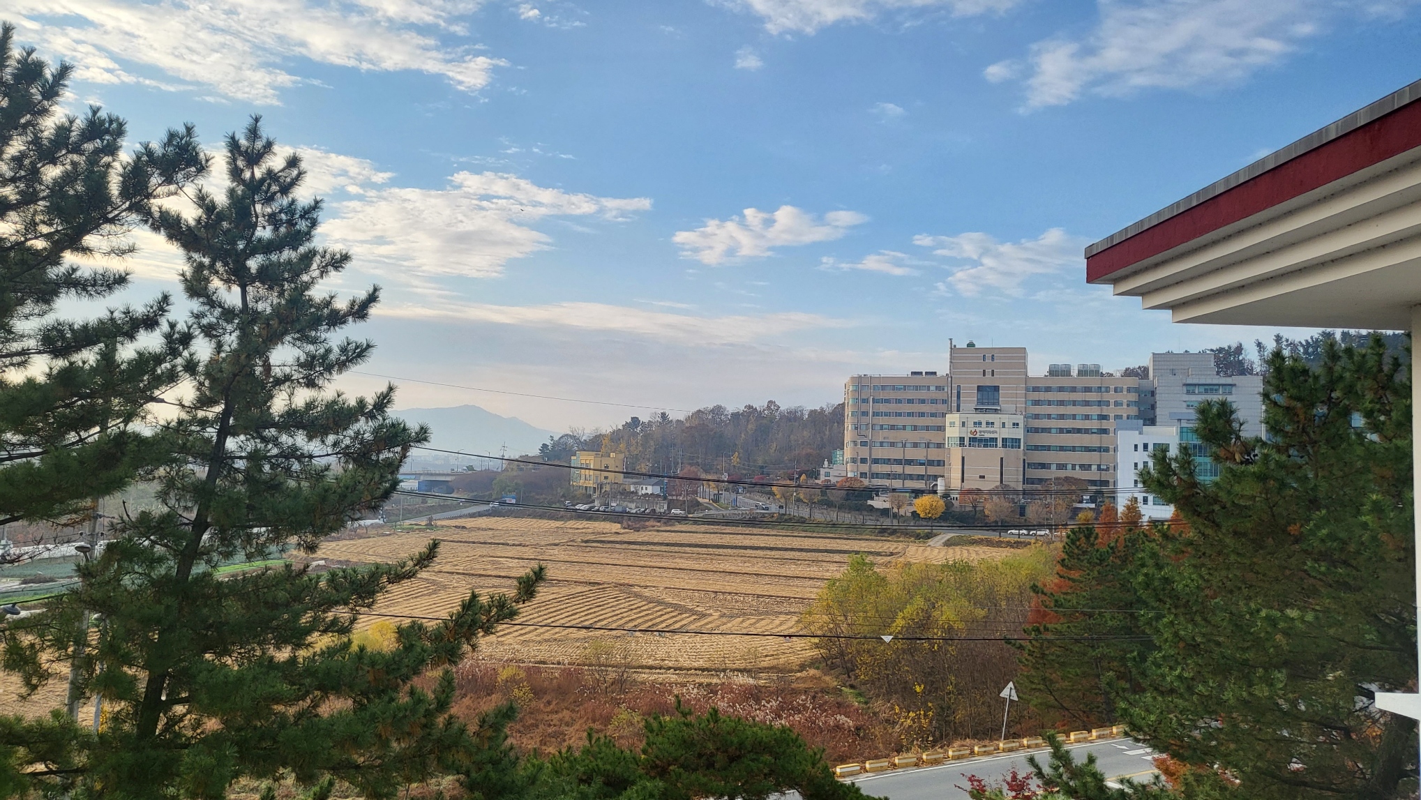 게시글 사진