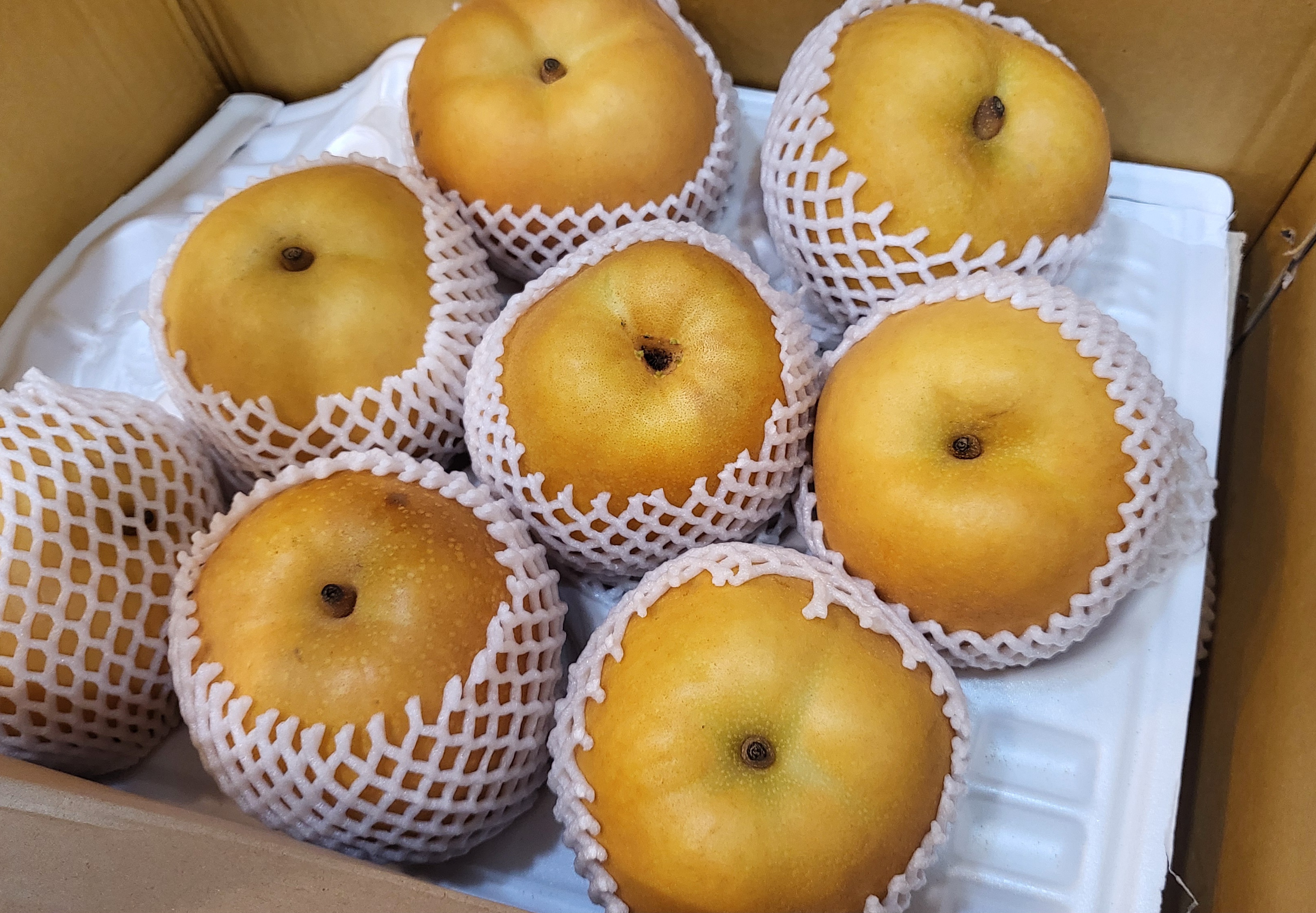 게시글 사진