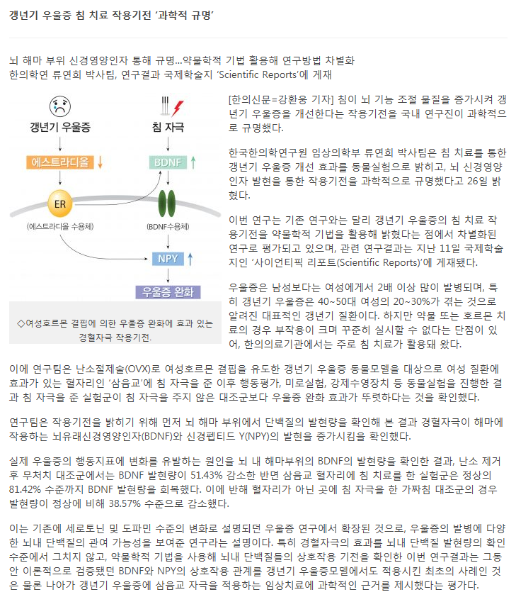 게시글 사진