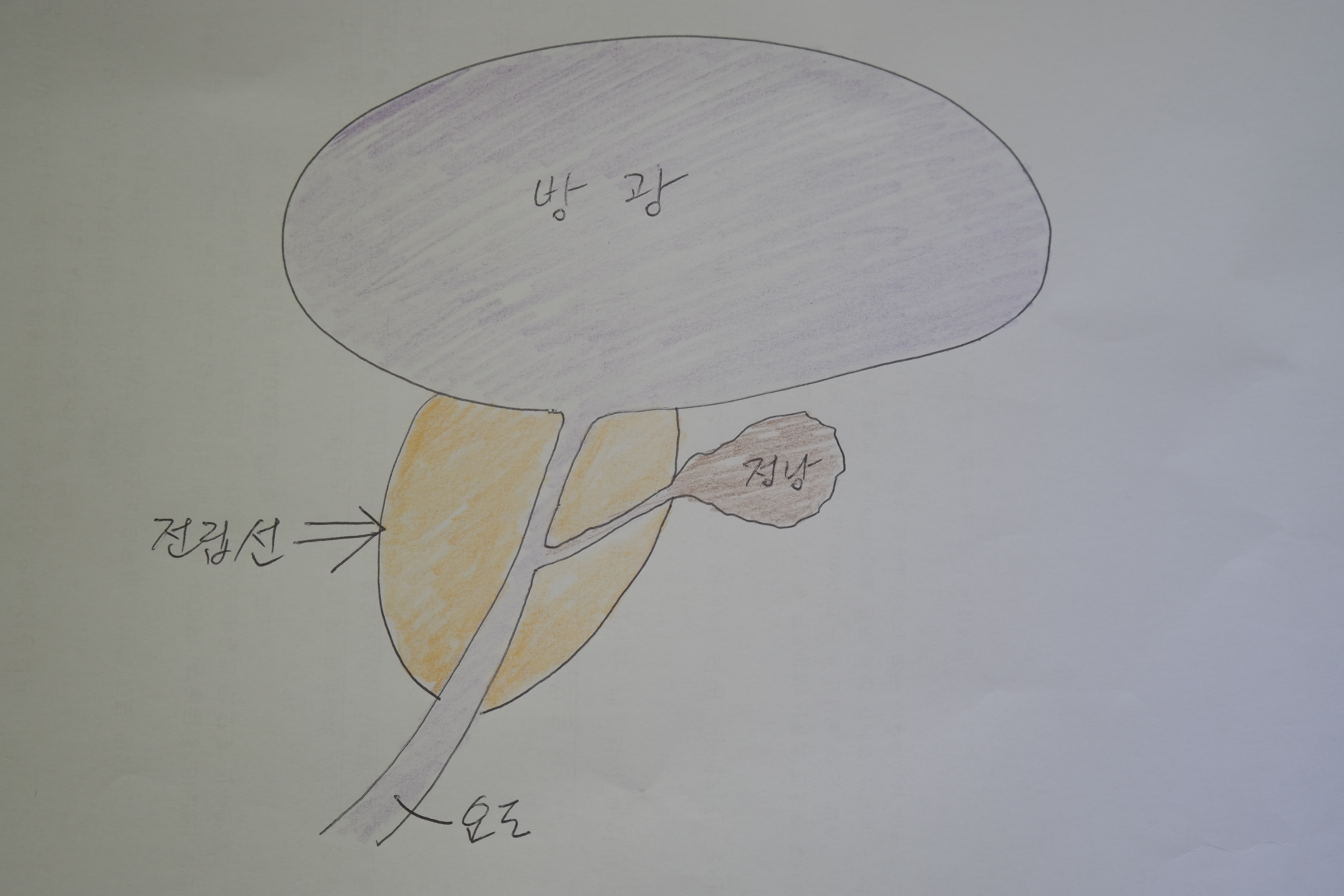 게시글 사진