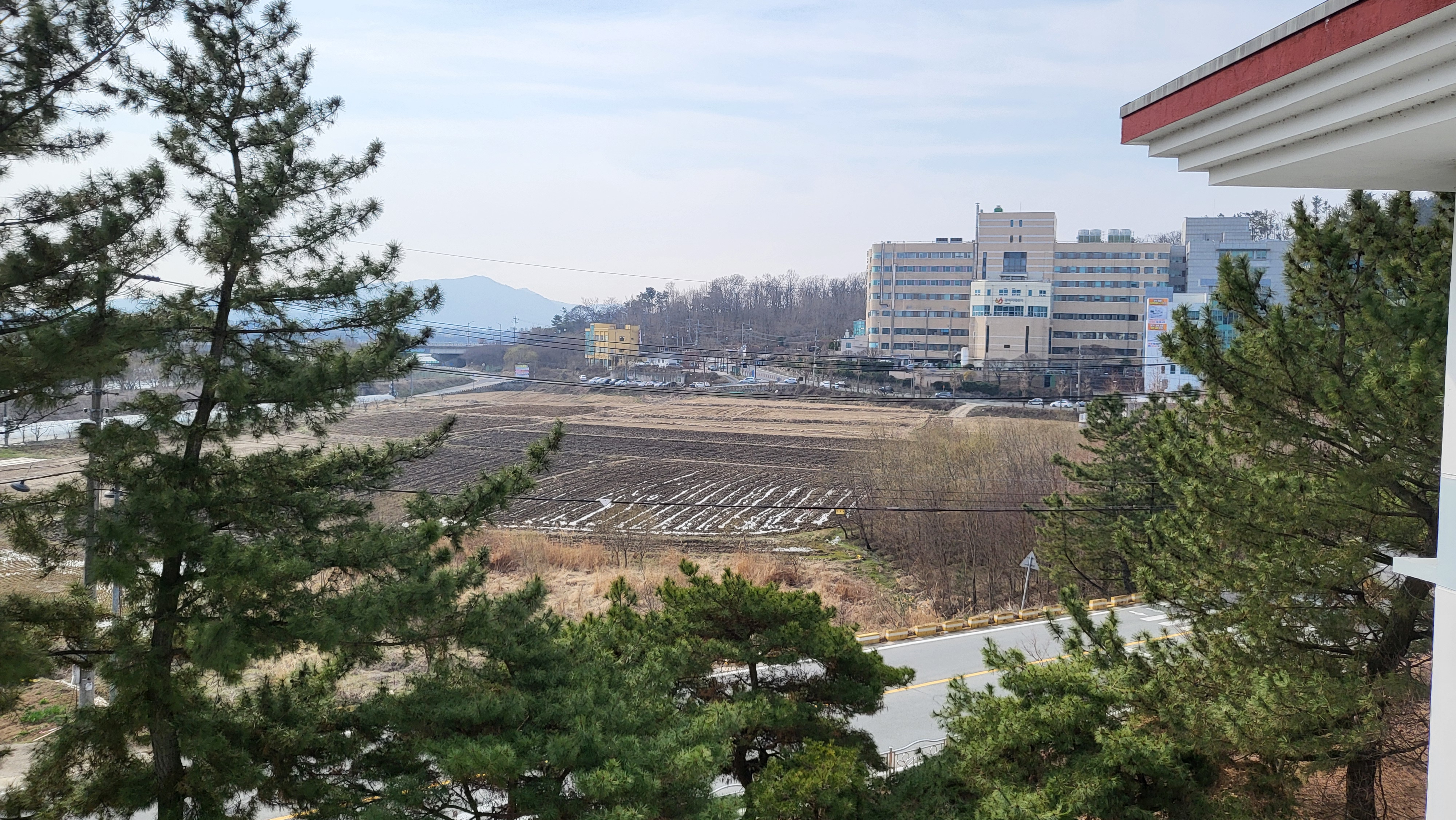게시글 사진