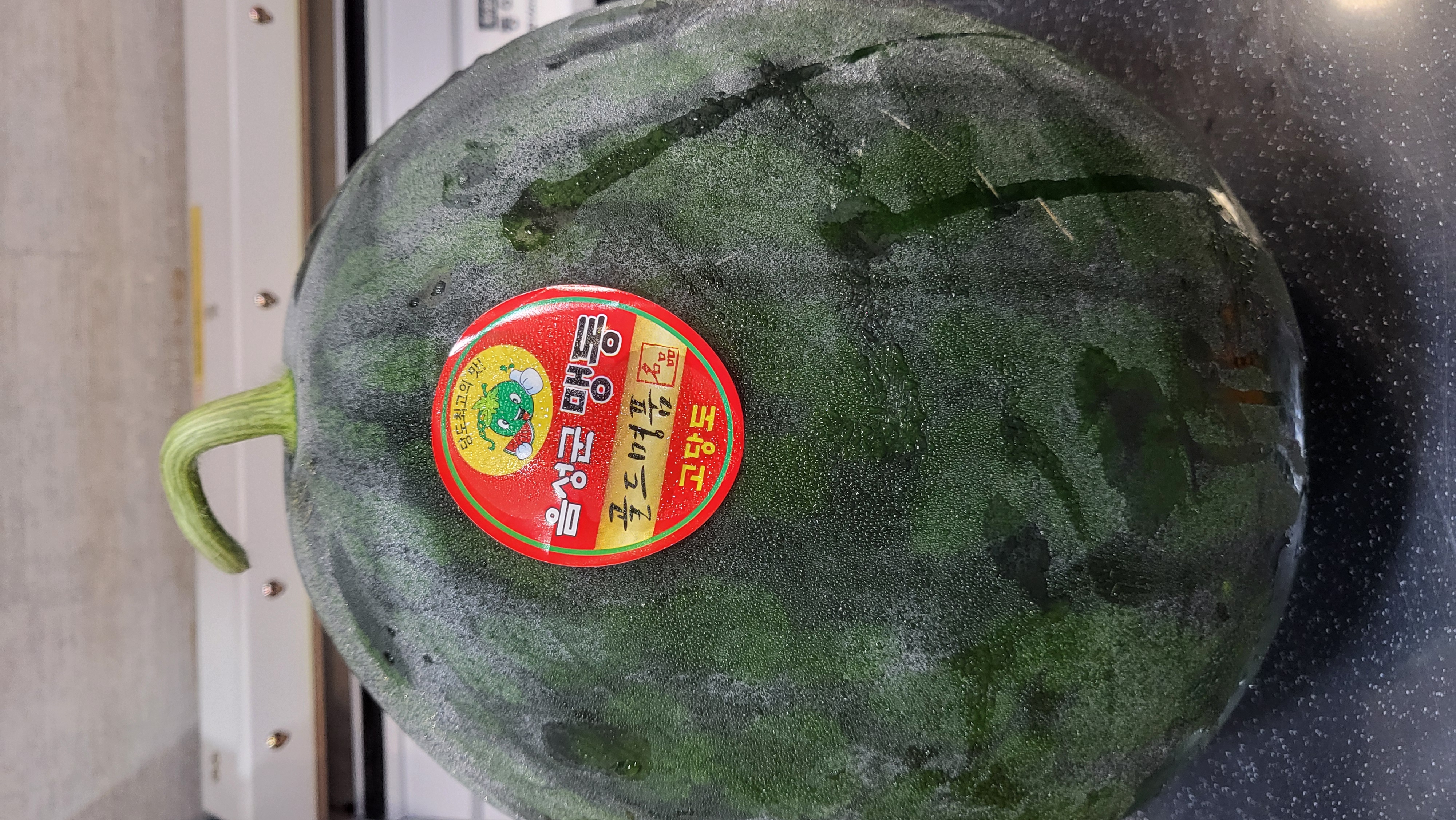 게시글 사진