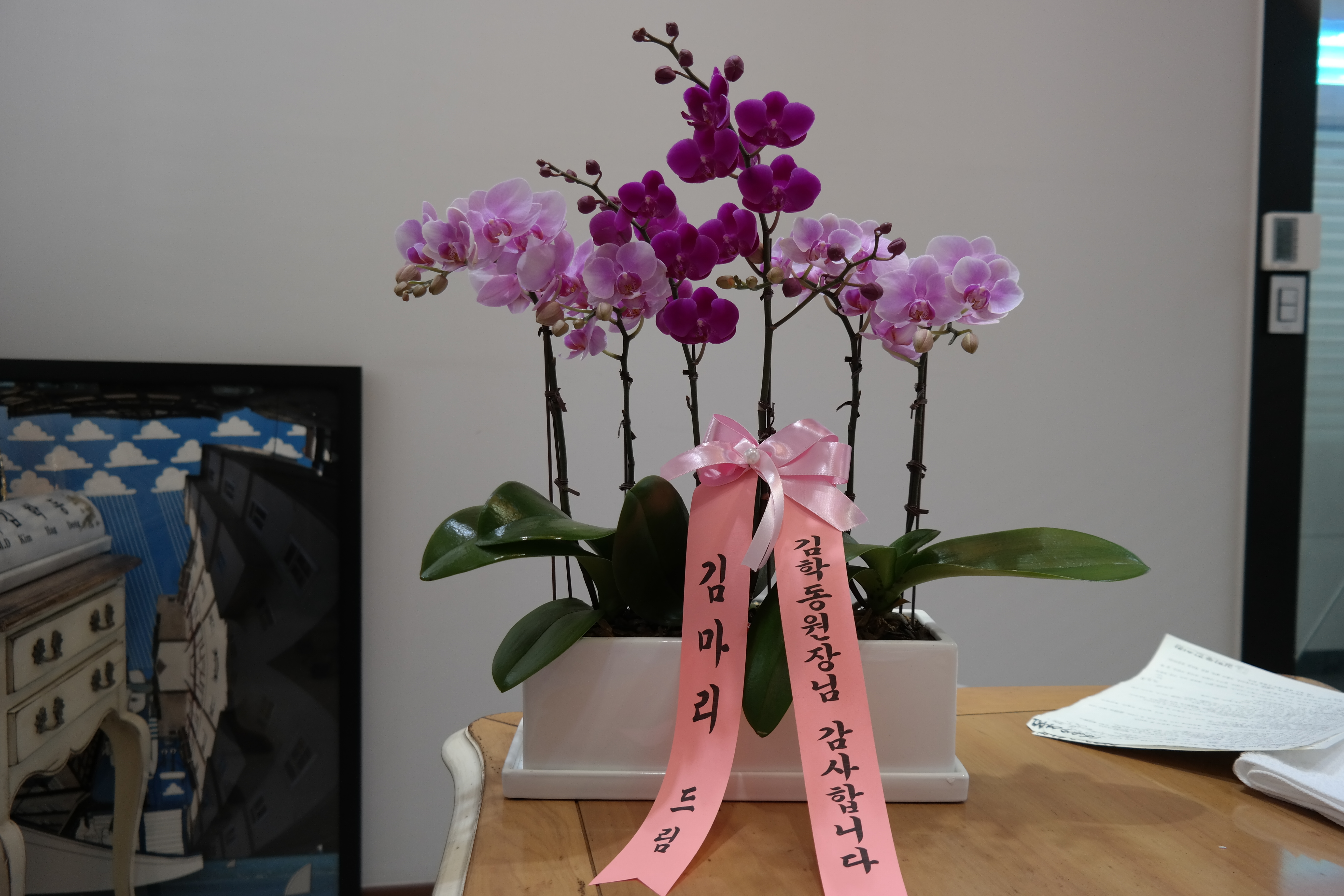 게시글 사진