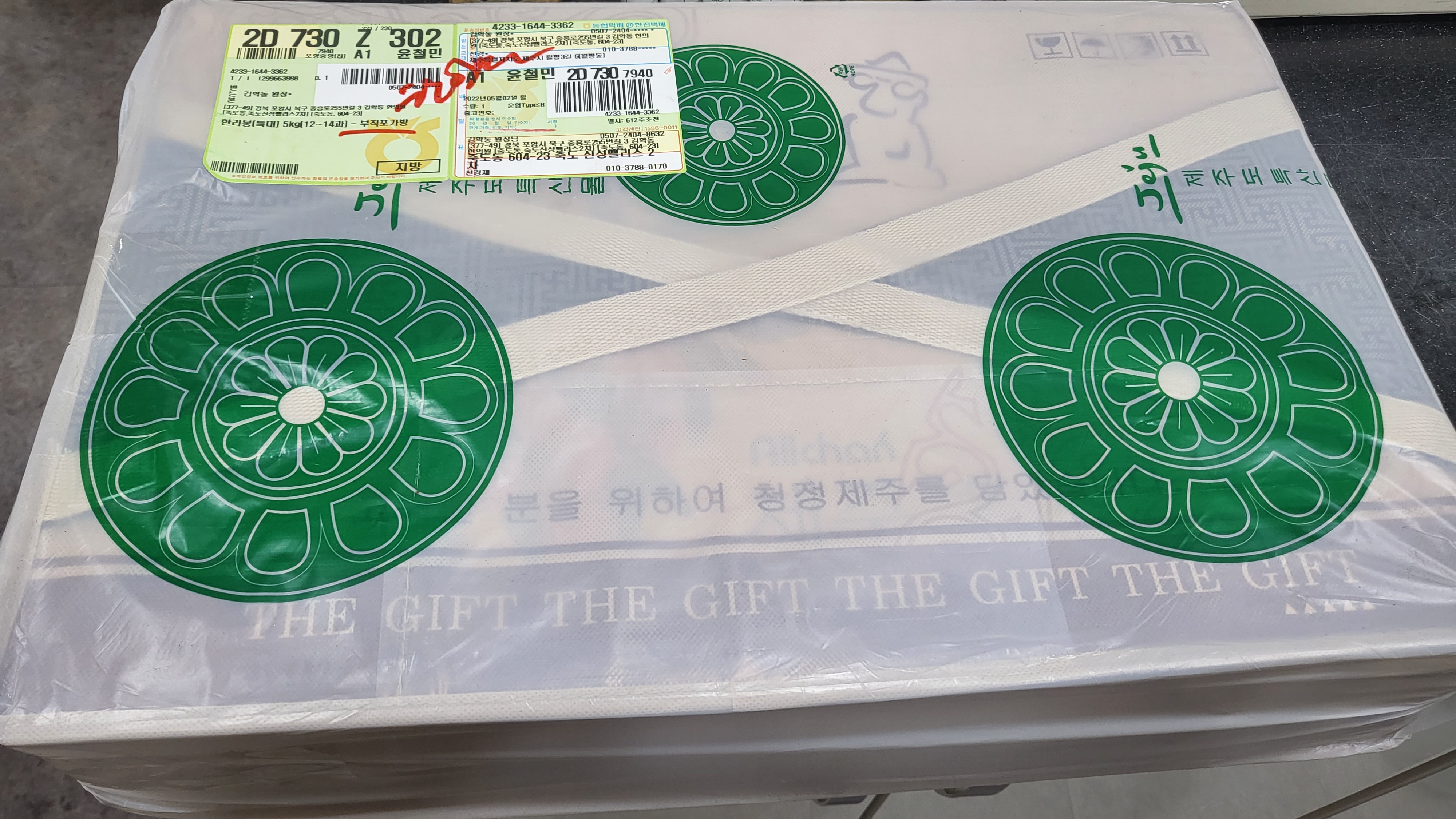 게시글 사진