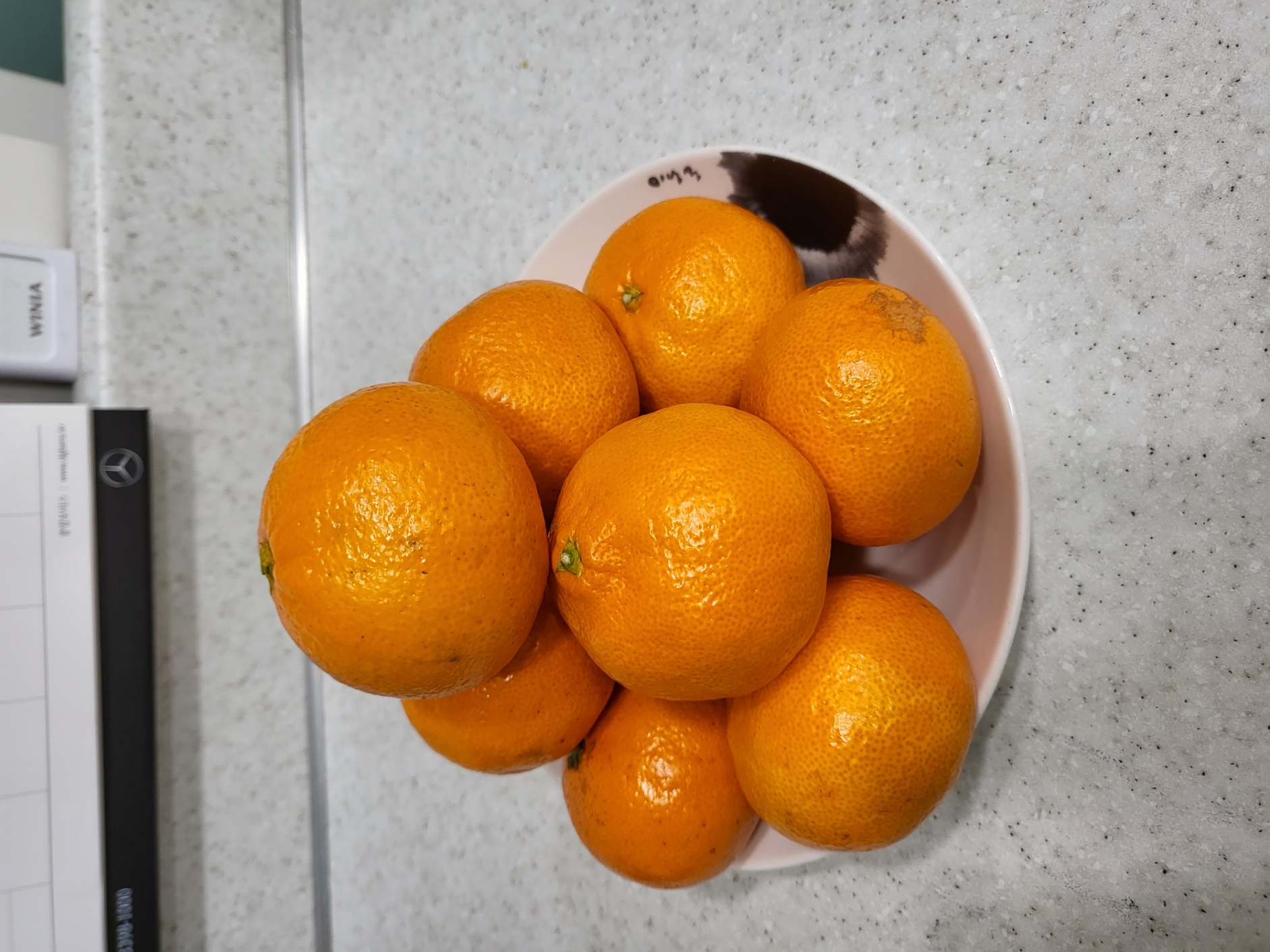 게시글 사진