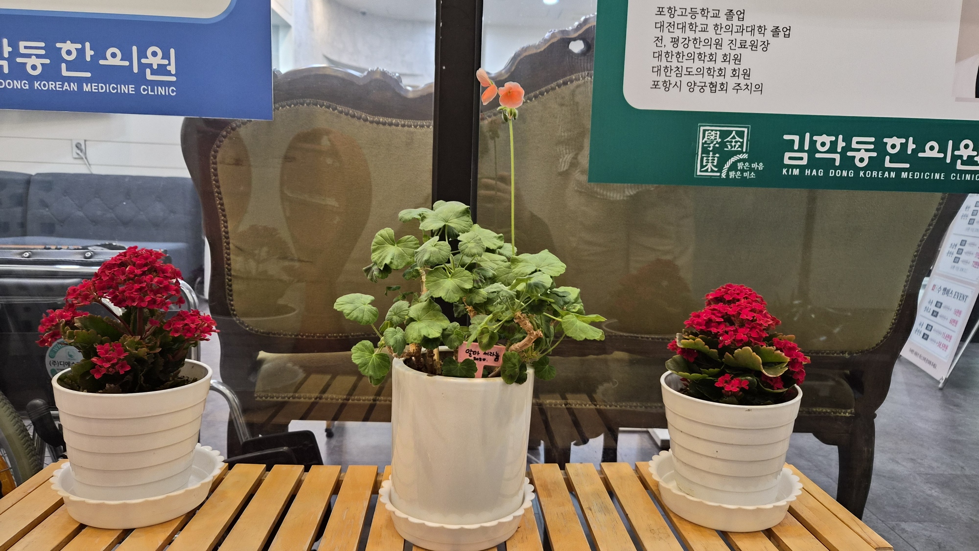 게시글 사진